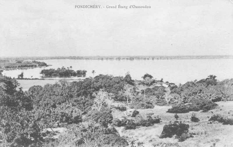 12-18 - Environs de Pondichery - grand etang Oussoudou - 1